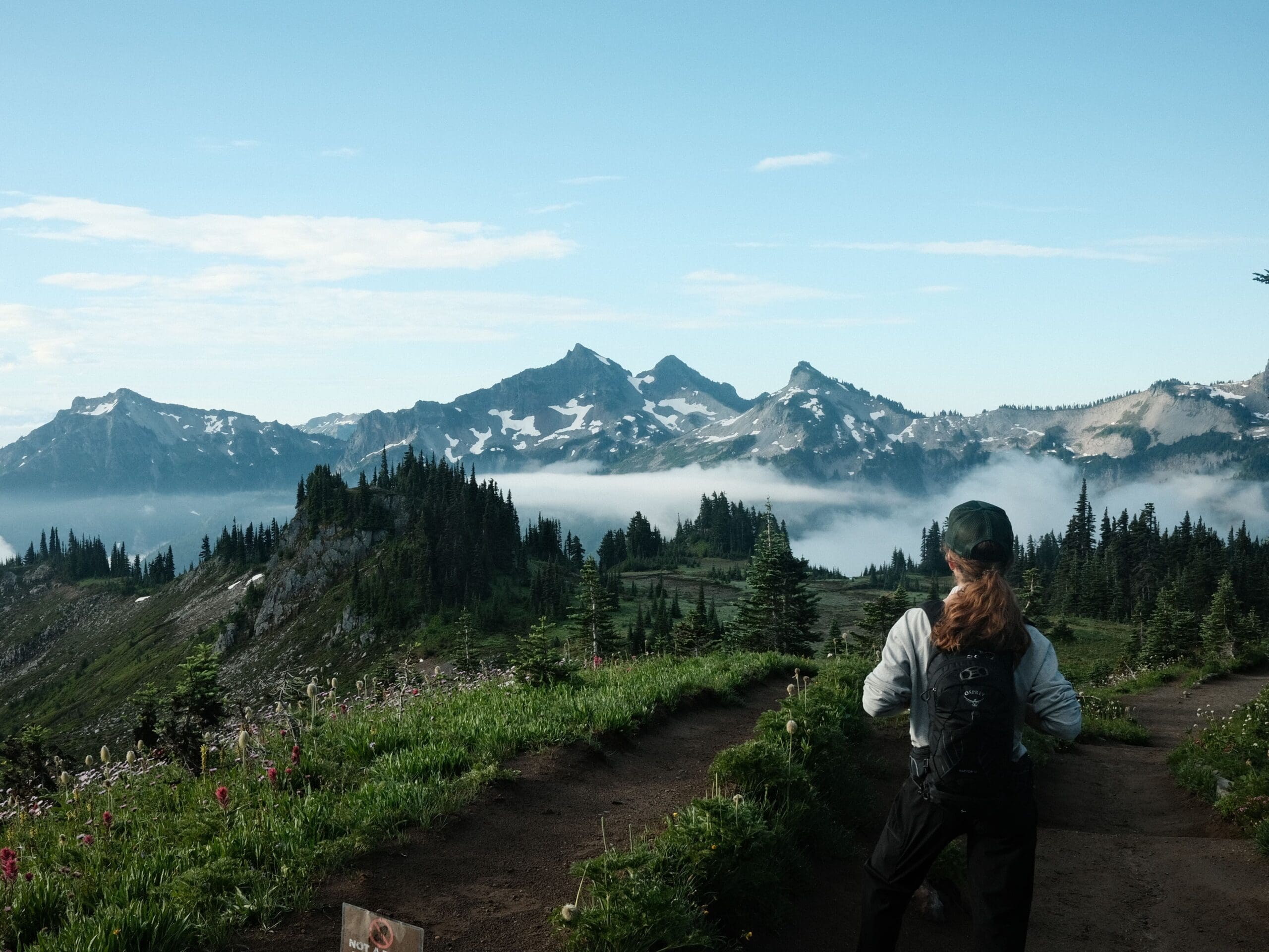 Hiker pausing on a marked mountain trail with wildflowers, evergreen trees, and distant snow-covered peaks